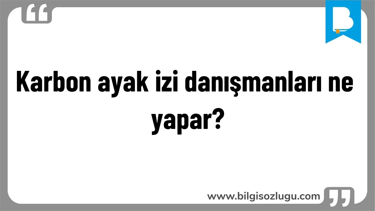 Karbon ayak izi danışmanları ne yapar?