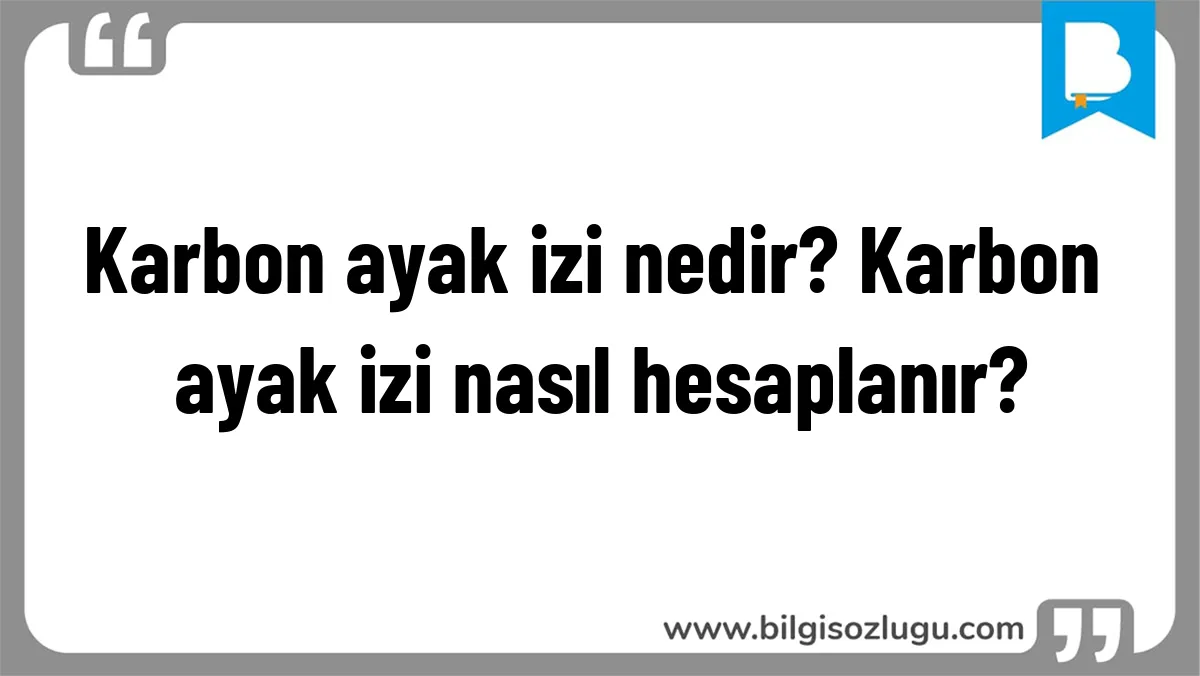 Karbon ayak izi nedir? Karbon ayak izi nasıl hesaplanır?