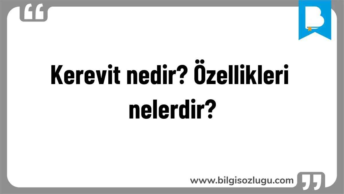 Kerevit nedir? Özellikleri nelerdir?