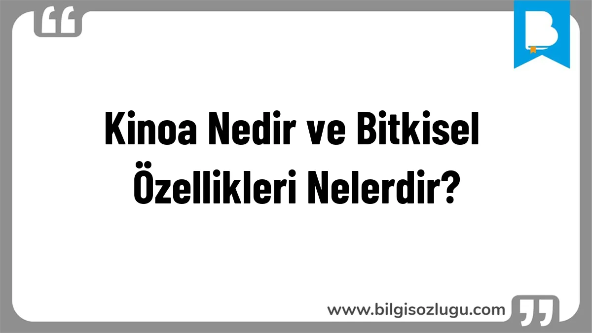 Kinoa Nedir ve Bitkisel Özellikleri Nelerdir?