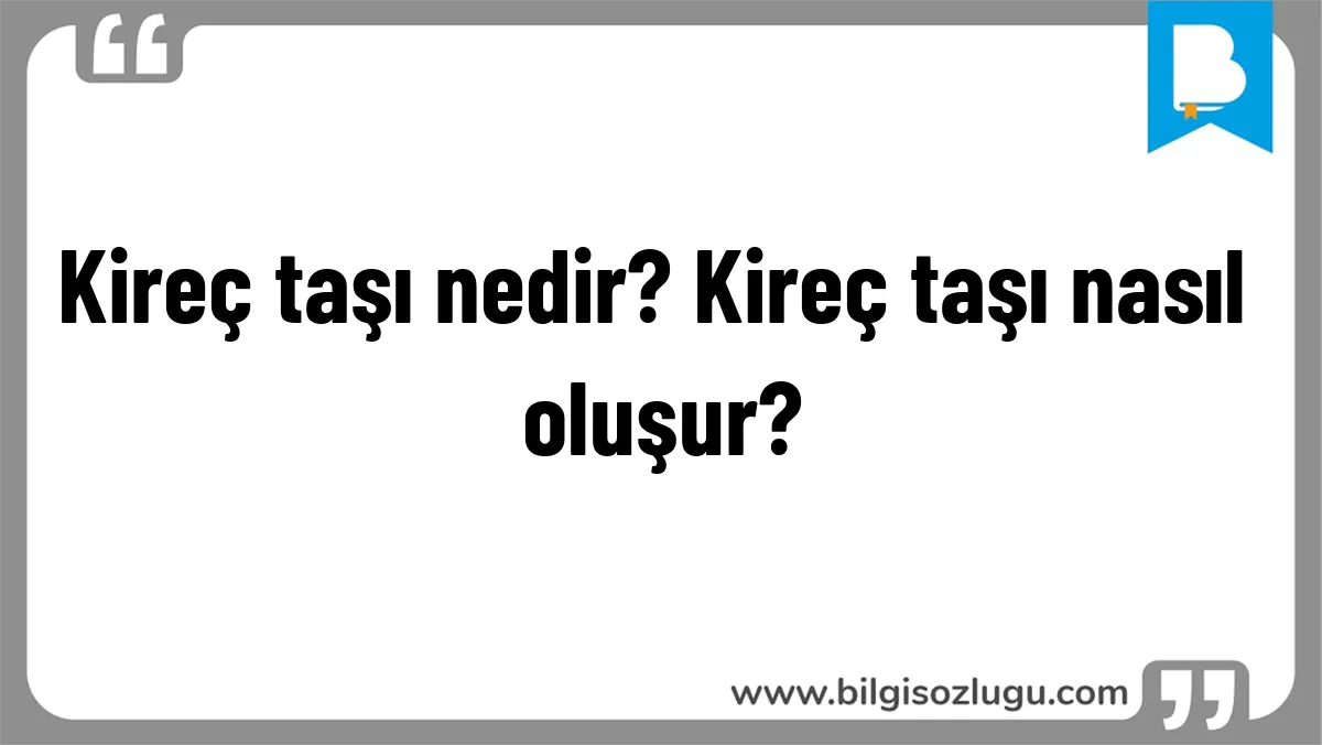 Kireç taşı nedir? Kireç taşı nasıl oluşur?
