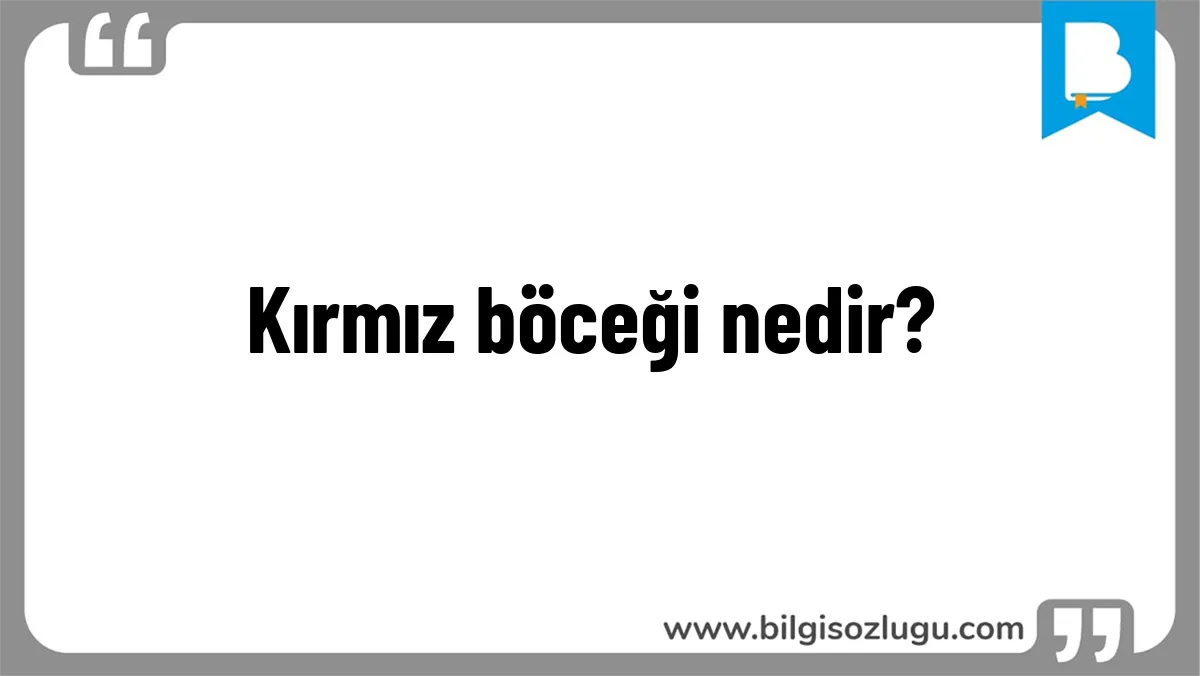 Kırmız böceği nedir?