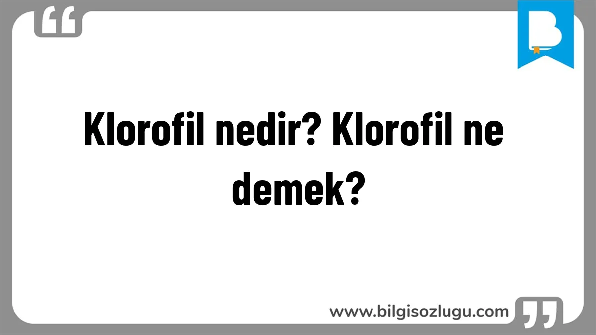 Klorofil nedir? Klorofil ne demek?