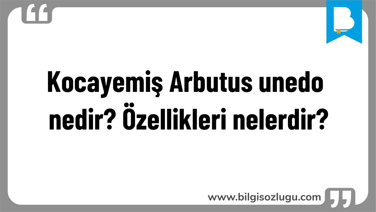 Kocayemiş Arbutus unedo nedir? Özellikleri nelerdir?