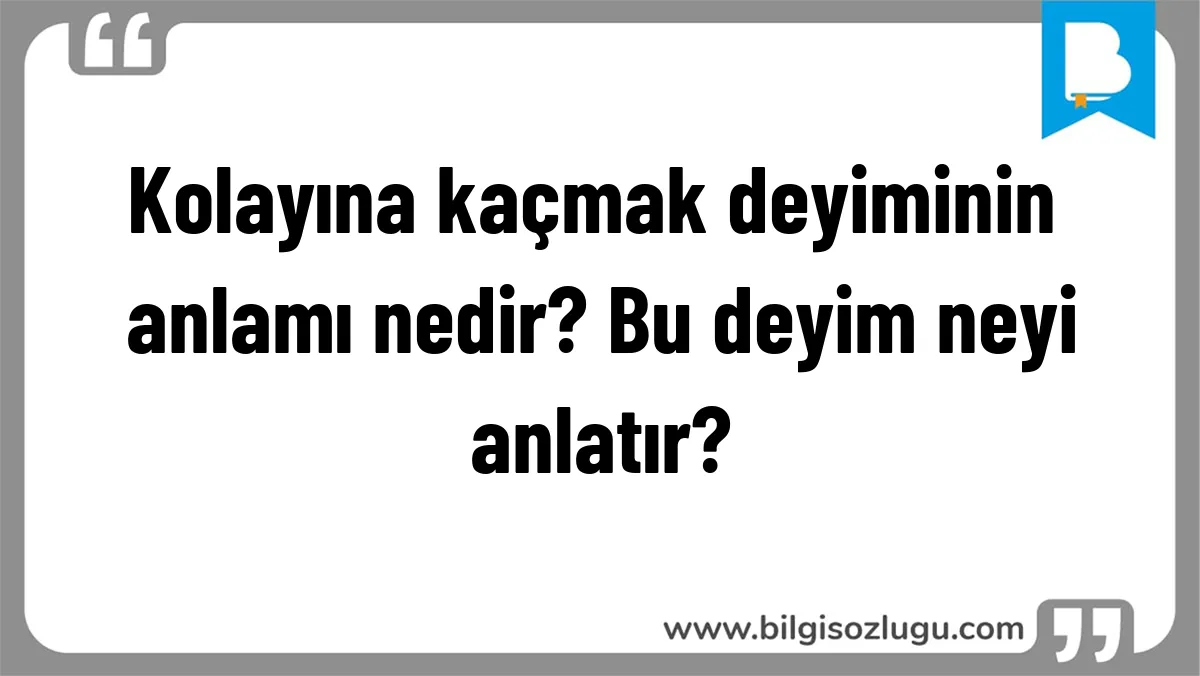Kolayına kaçmak deyiminin anlamı nedir? Bu deyim neyi anlatır?