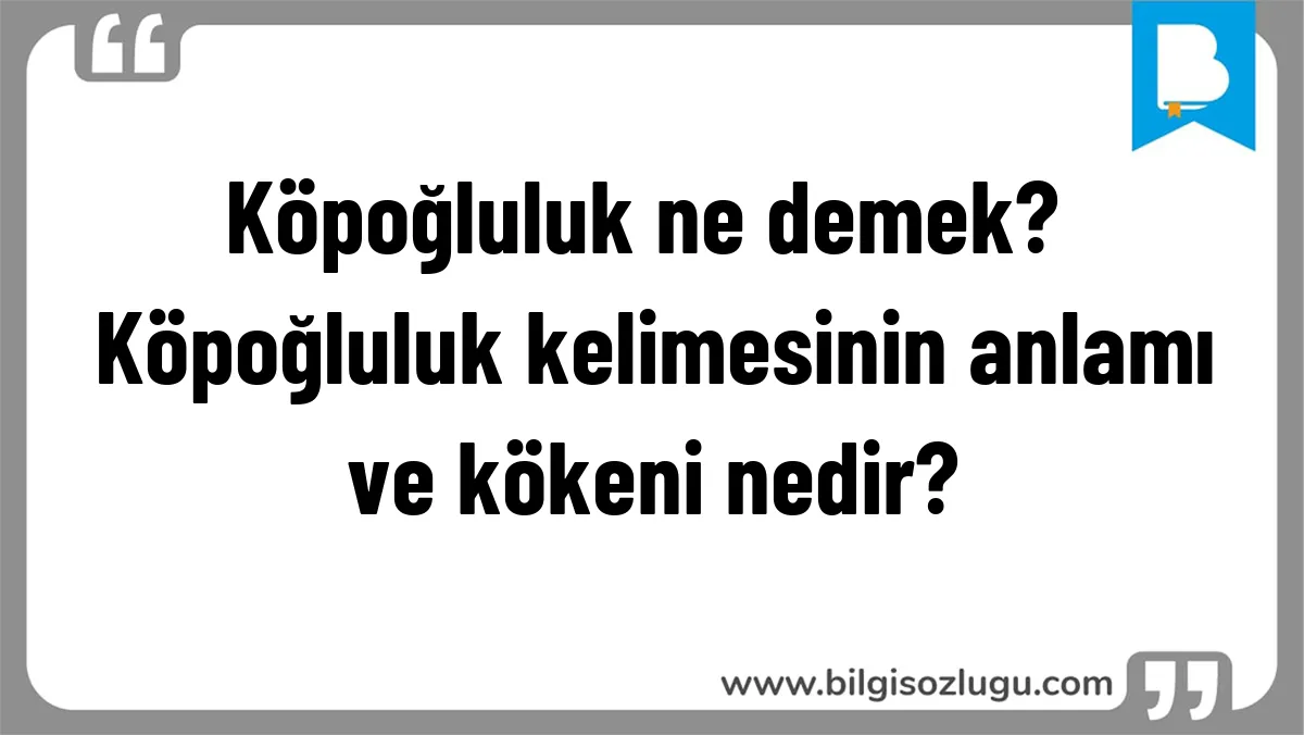 Köpoğluluk ne demek? Köpoğluluk kelimesinin anlamı ve kökeni nedir?