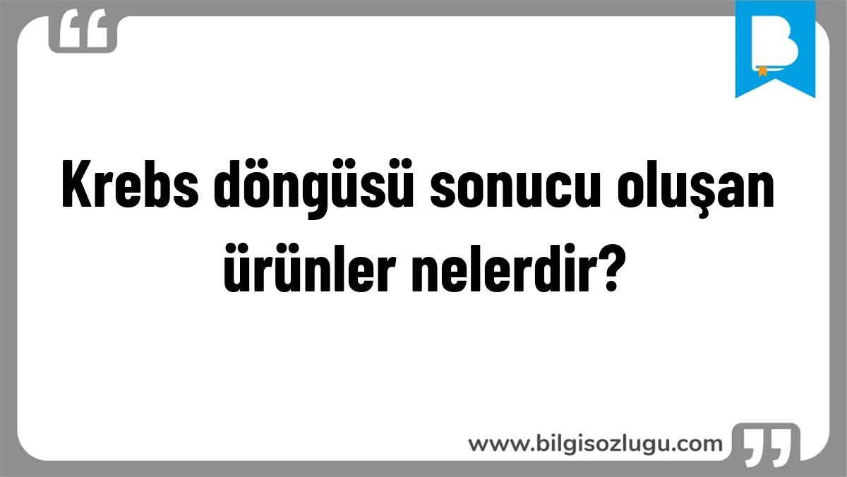 Krebs döngüsü sonucu oluşan ürünler nelerdir?