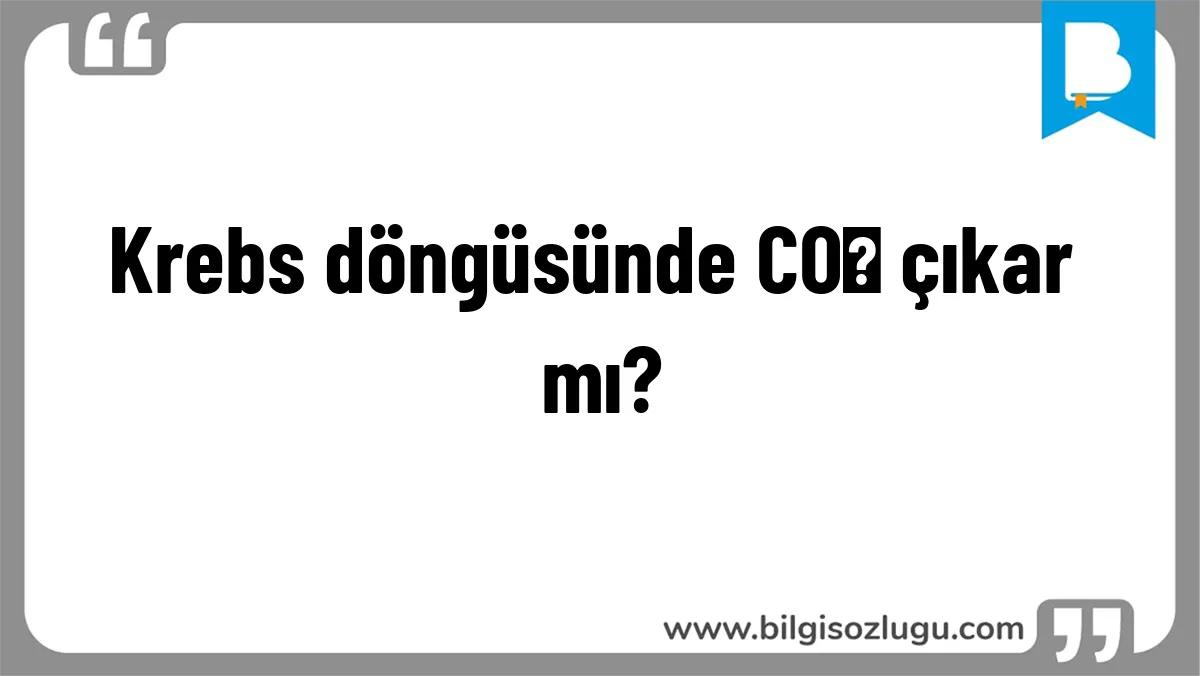 Krebs döngüsünde CO₂ çıkar mı?