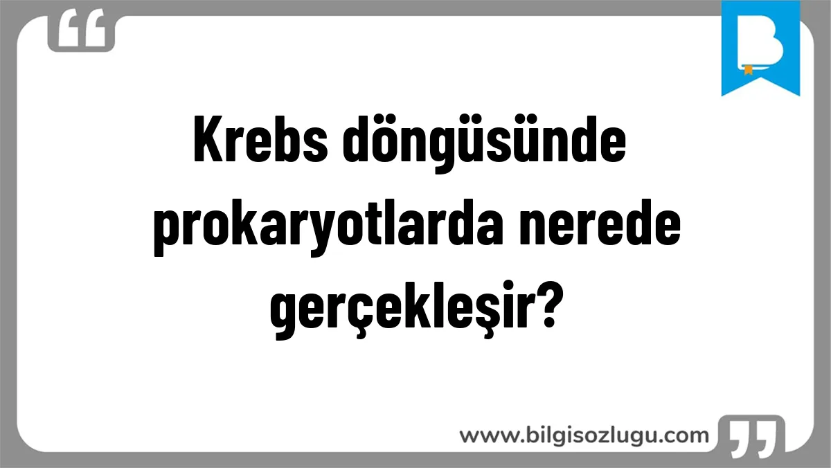 Krebs döngüsünde prokaryotlarda nerede gerçekleşir?