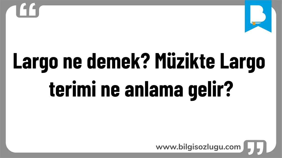 Largo ne demek? Müzikte Largo terimi ne anlama gelir?