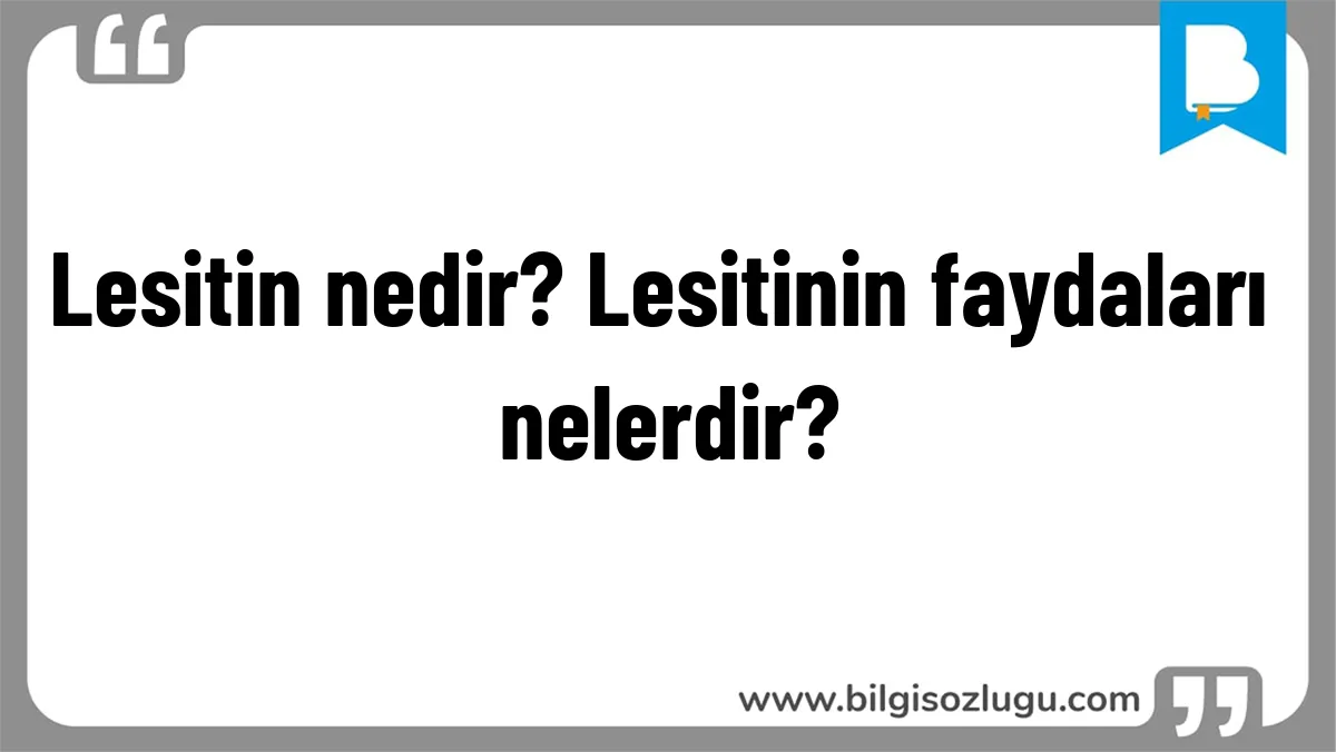 Lesitin nedir? Lesitinin faydaları nelerdir?