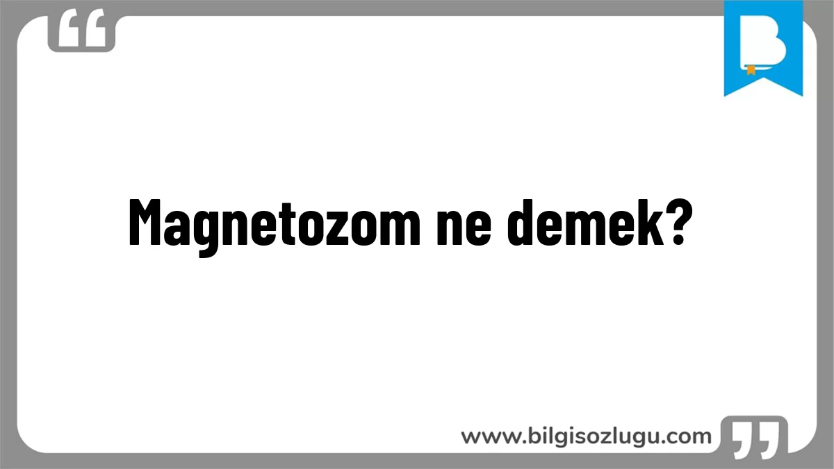 Magnetozom ne demek?