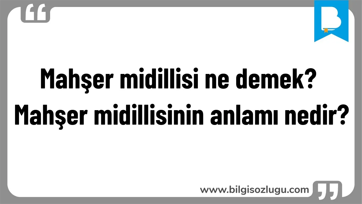 Mahşer midillisi ne demek? Mahşer midillisinin anlamı nedir?