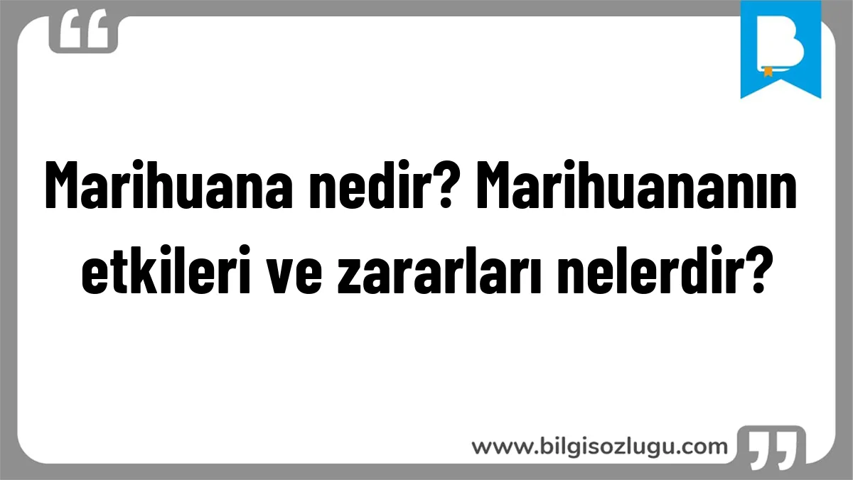 Marihuana nedir? Marihuananın etkileri ve zararları nelerdir?