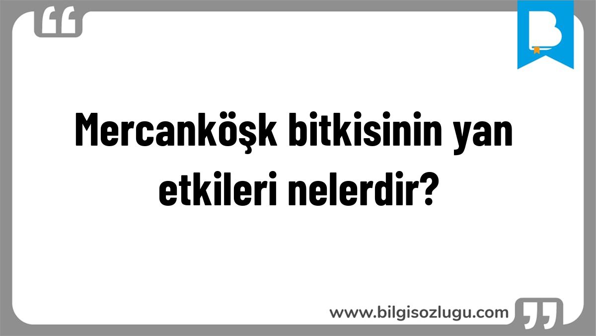 Mercanköşk bitkisinin yan etkileri nelerdir?