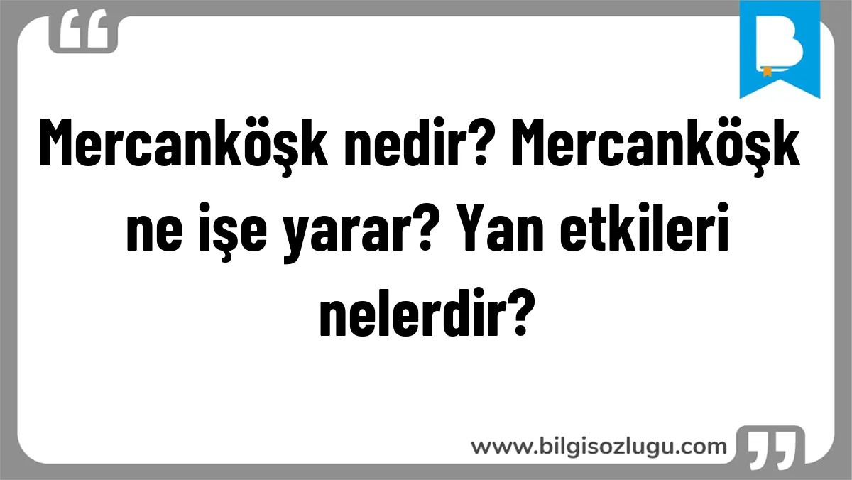Mercanköşk nedir? Mercanköşk ne işe yarar? Yan etkileri nelerdir?