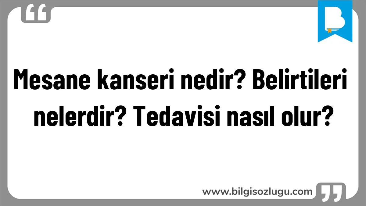 Mesane kanseri nedir? Belirtileri nelerdir? Tedavisi nasıl olur?