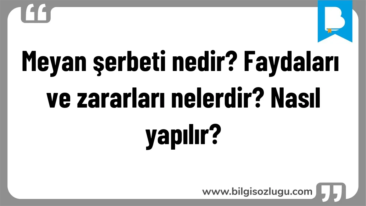Meyan şerbeti nedir? Faydaları ve zararları nelerdir? Nasıl yapılır?