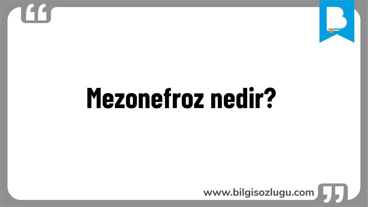 Mezonefroz nedir?