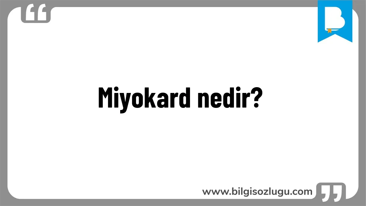 Miyokard nedir?