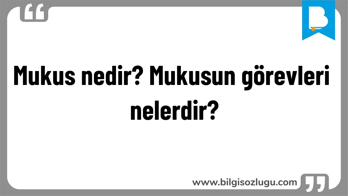 Mukus nedir? Mukusun görevleri nelerdir?