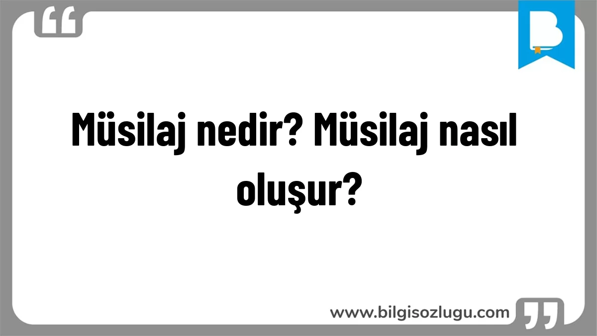 Müsilaj nedir? Müsilaj nasıl oluşur?