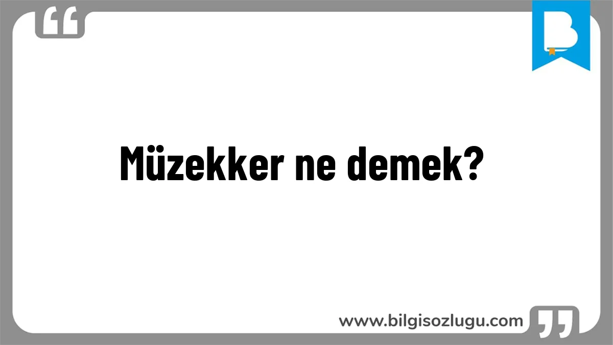 Müzekker ne demek?