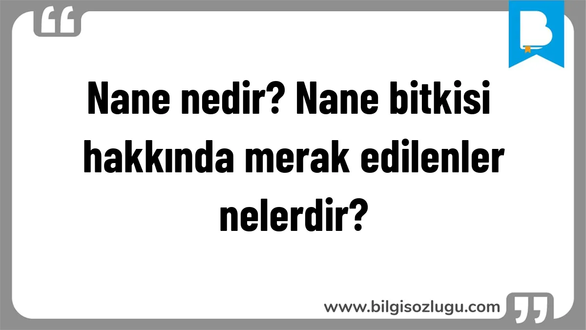 Nane nedir? Nane bitkisi hakkında merak edilenler nelerdir?