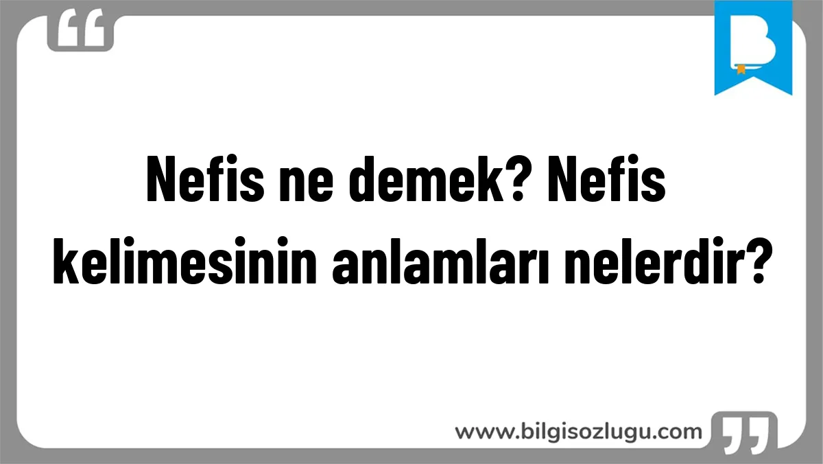 Nefis ne demek? Nefis kelimesinin anlamları nelerdir?