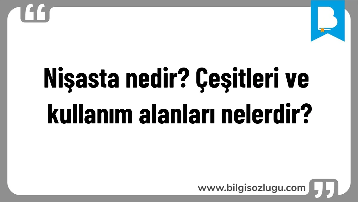 Nişasta nedir? Çeşitleri ve kullanım alanları nelerdir?