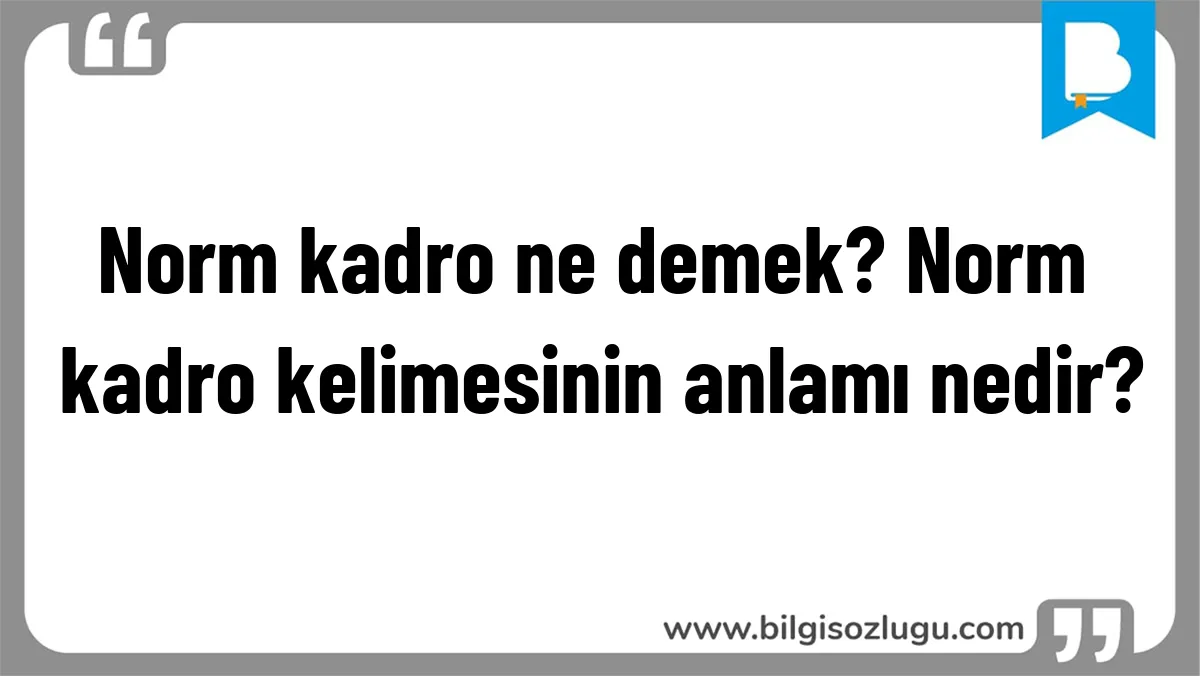 Norm kadro ne demek? Norm kadro kelimesinin anlamı nedir?