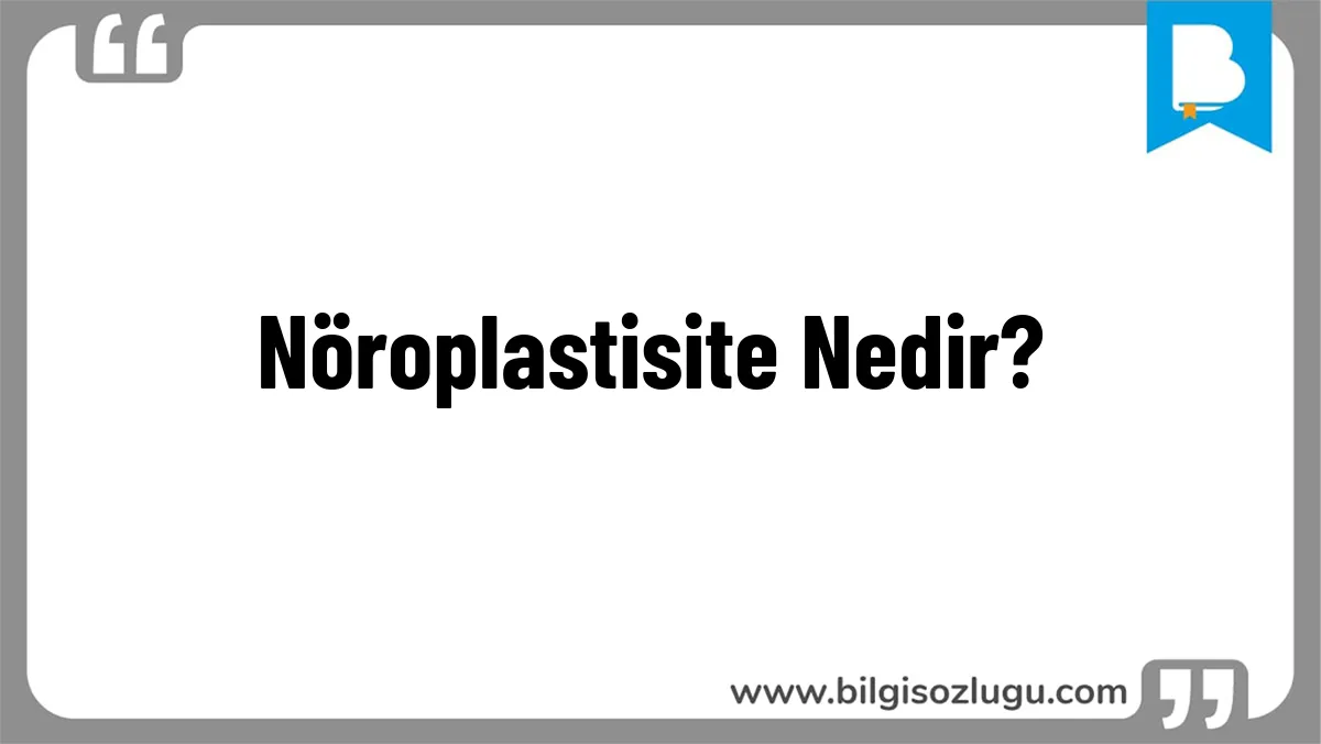 Nöroplastisite Nedir?