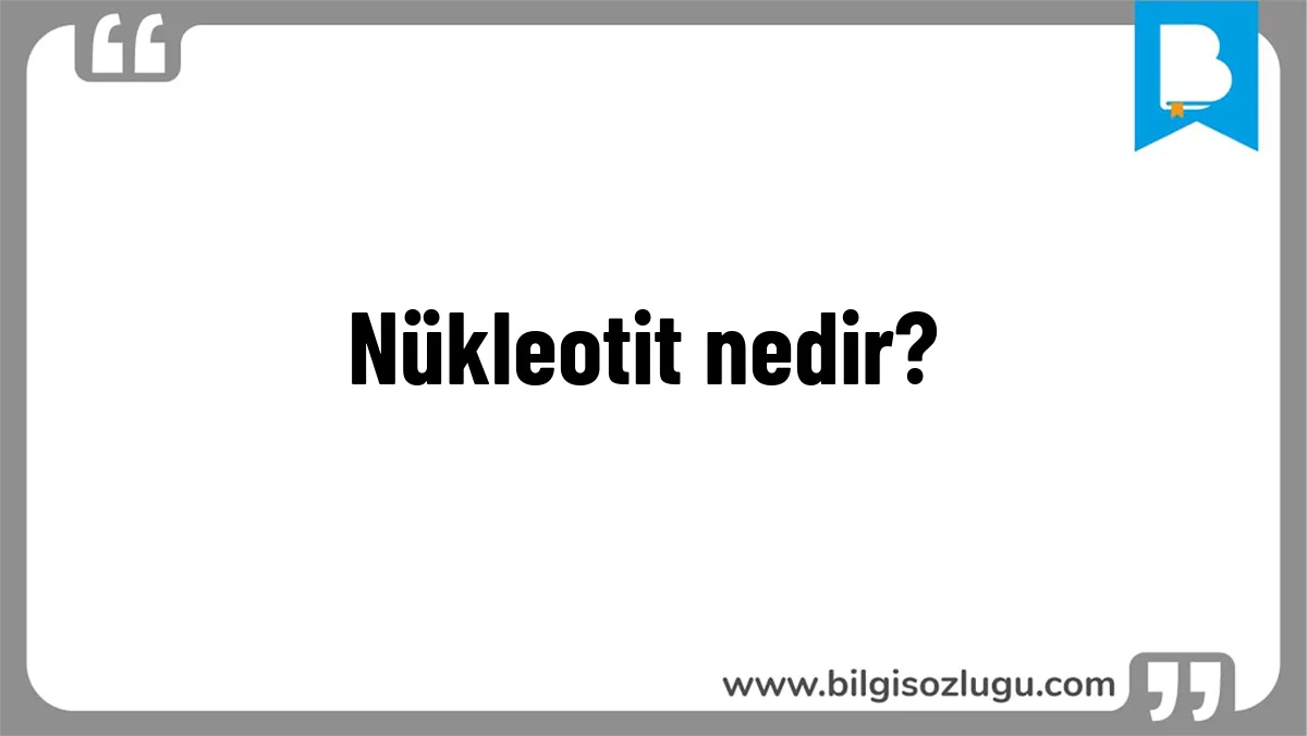 Nükleotit nedir?