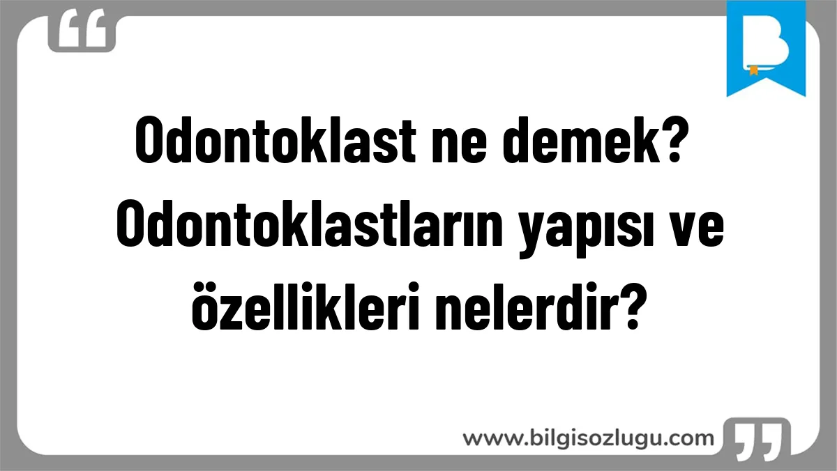 Odontoklast ne demek? Odontoklastların yapısı ve özellikleri nelerdir?