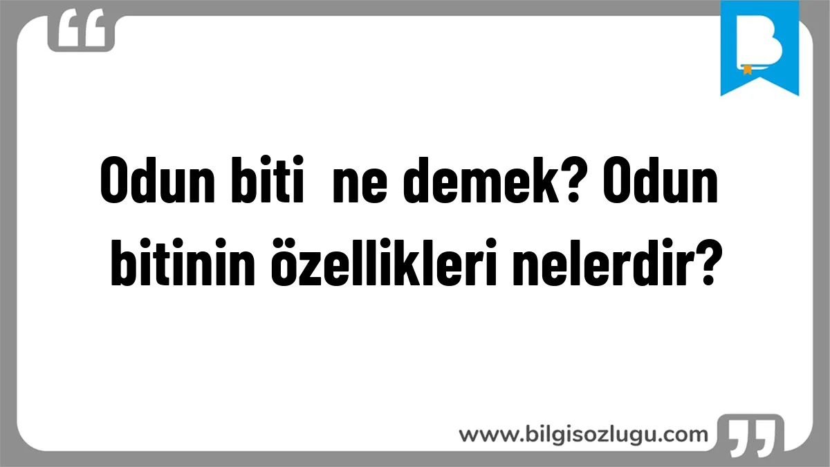 Odun biti ne demek? Odun bitinin özellikleri nelerdir?