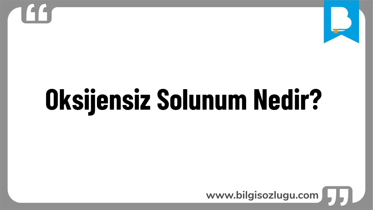Oksijensiz Solunum Nedir?