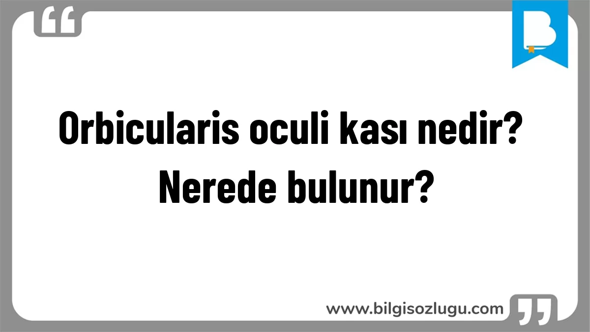 Orbicularis oculi kası nedir? Nerede bulunur?