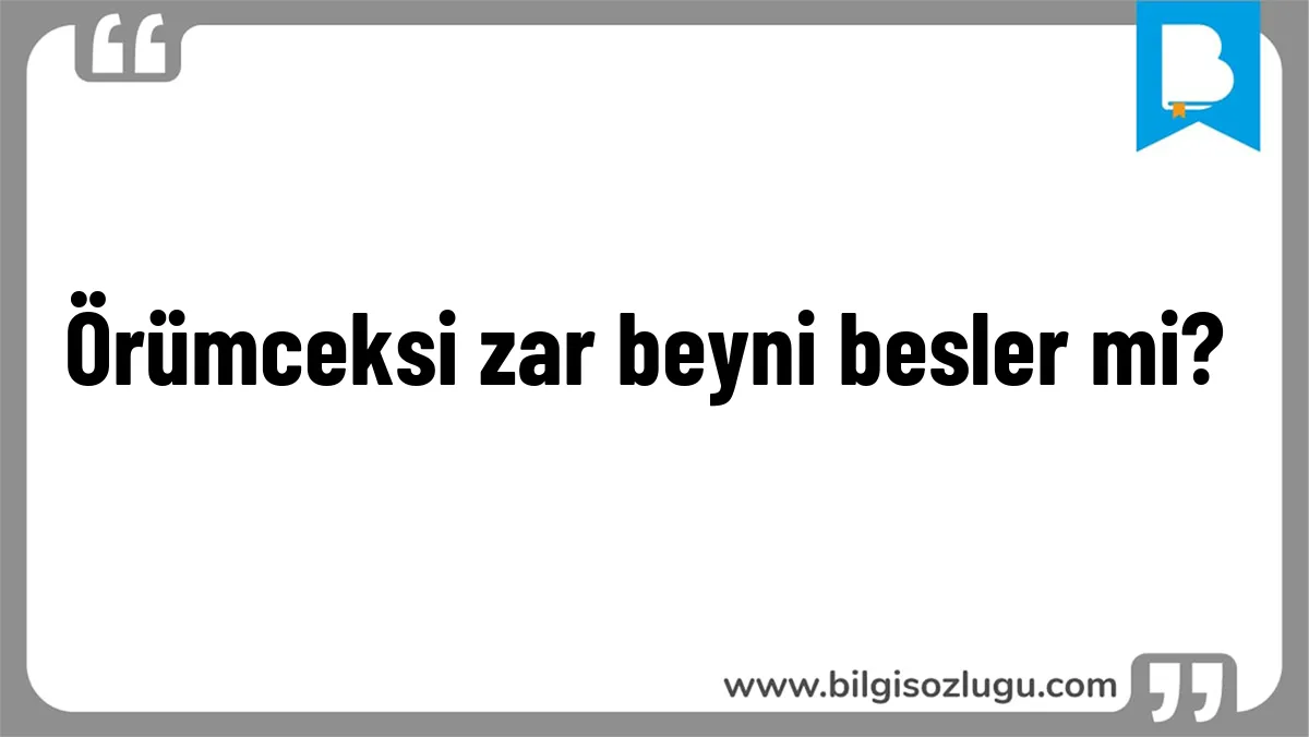 Örümceksi zar beyni besler mi?