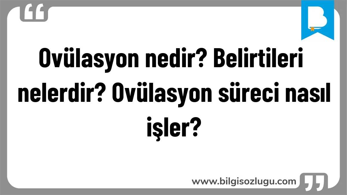 Ovülasyon nedir? Belirtileri nelerdir? Ovülasyon süreci nasıl işler?