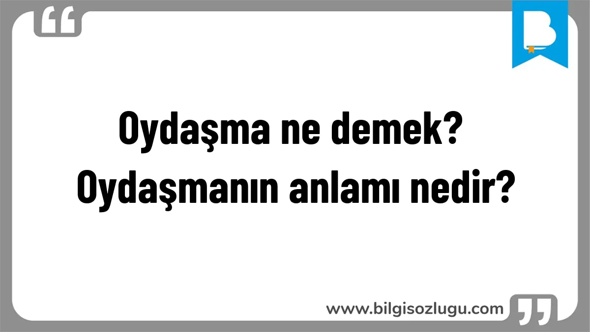 Oydaşma ne demek? Oydaşmanın anlamı nedir?