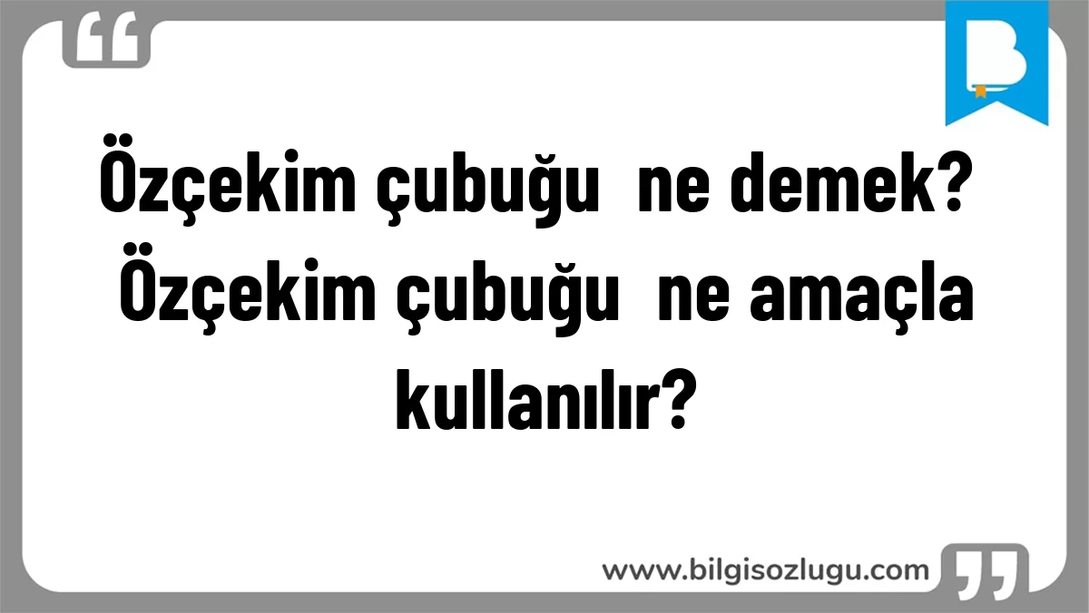 Özçekim çubuğu  ne demek? Özçekim çubuğu  ne amaçla kullanılır?