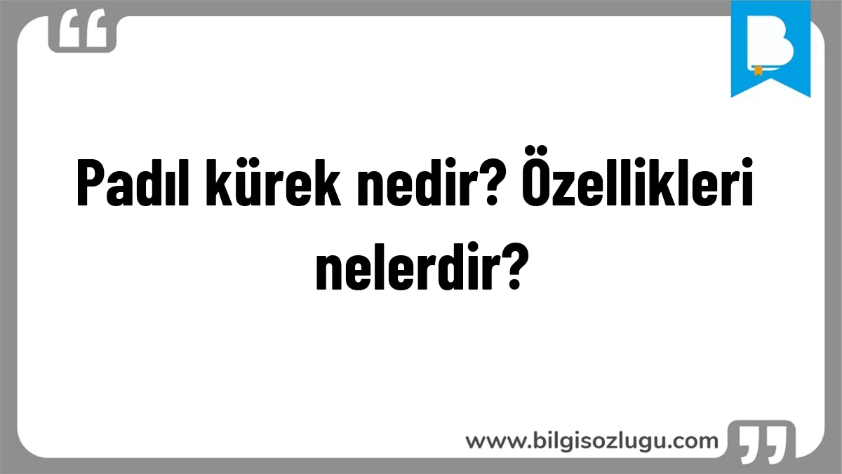 Padıl kürek nedir? Özellikleri nelerdir?