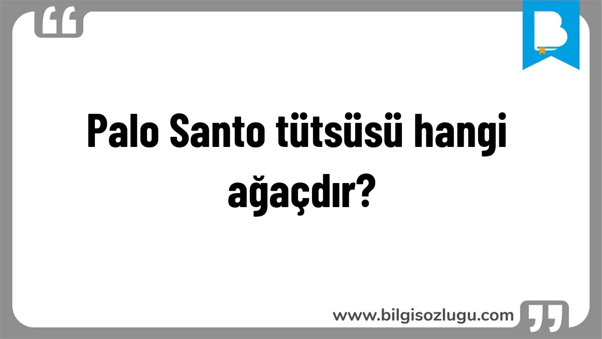 Palo Santo tütsüsü hangi ağaçdır?