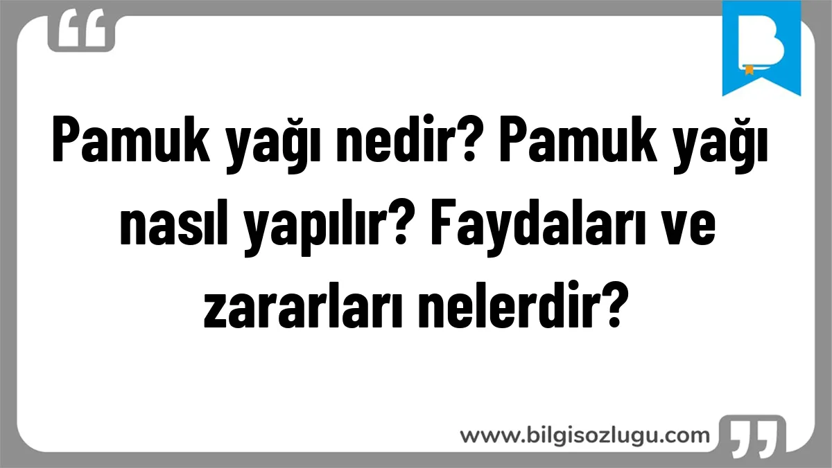 Pamuk yağı nedir? Pamuk yağı nasıl yapılır? Faydaları ve zararları nelerdir?