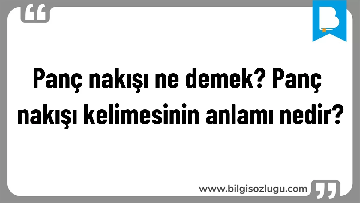 Panç nakışı ne demek? Panç nakışı kelimesinin anlamı nedir?