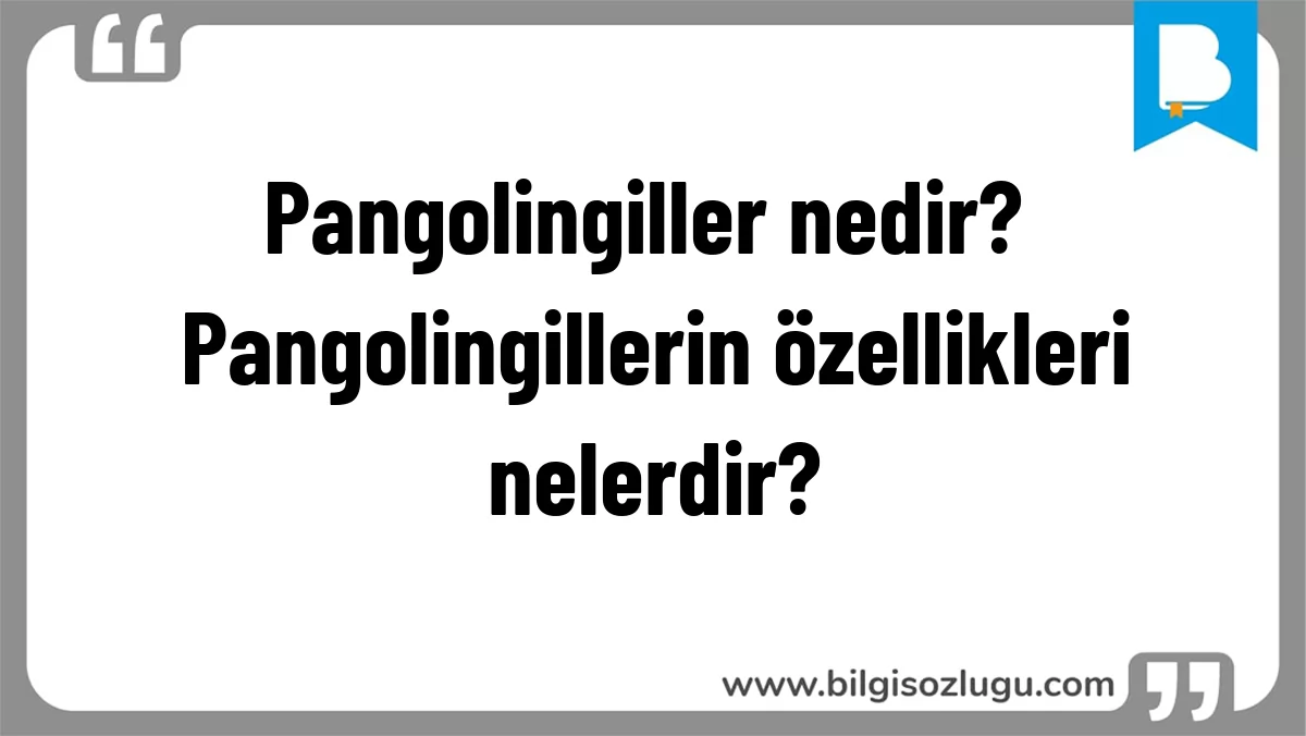 Pangolingiller nedir? Pangolingillerin özellikleri nelerdir?