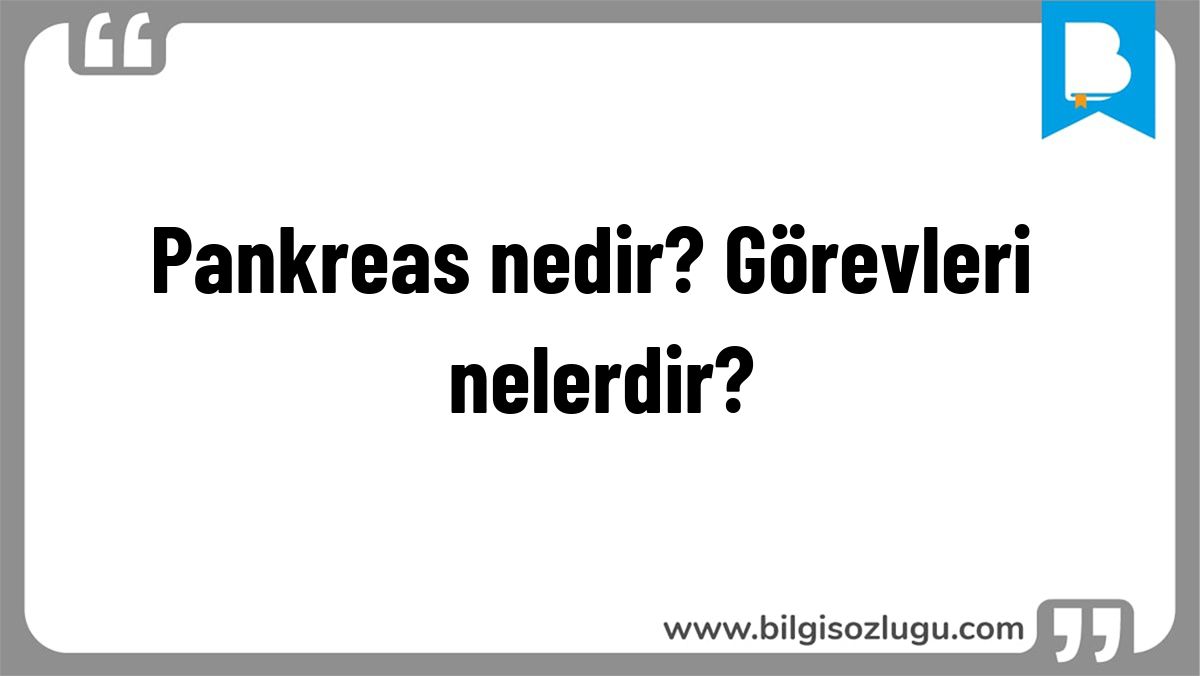 Pankreas nedir? Görevleri nelerdir?