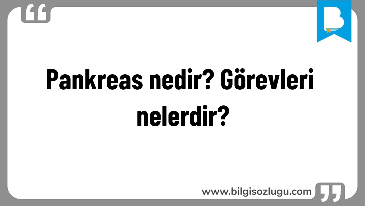 Pankreas nedir? Görevleri nelerdir?