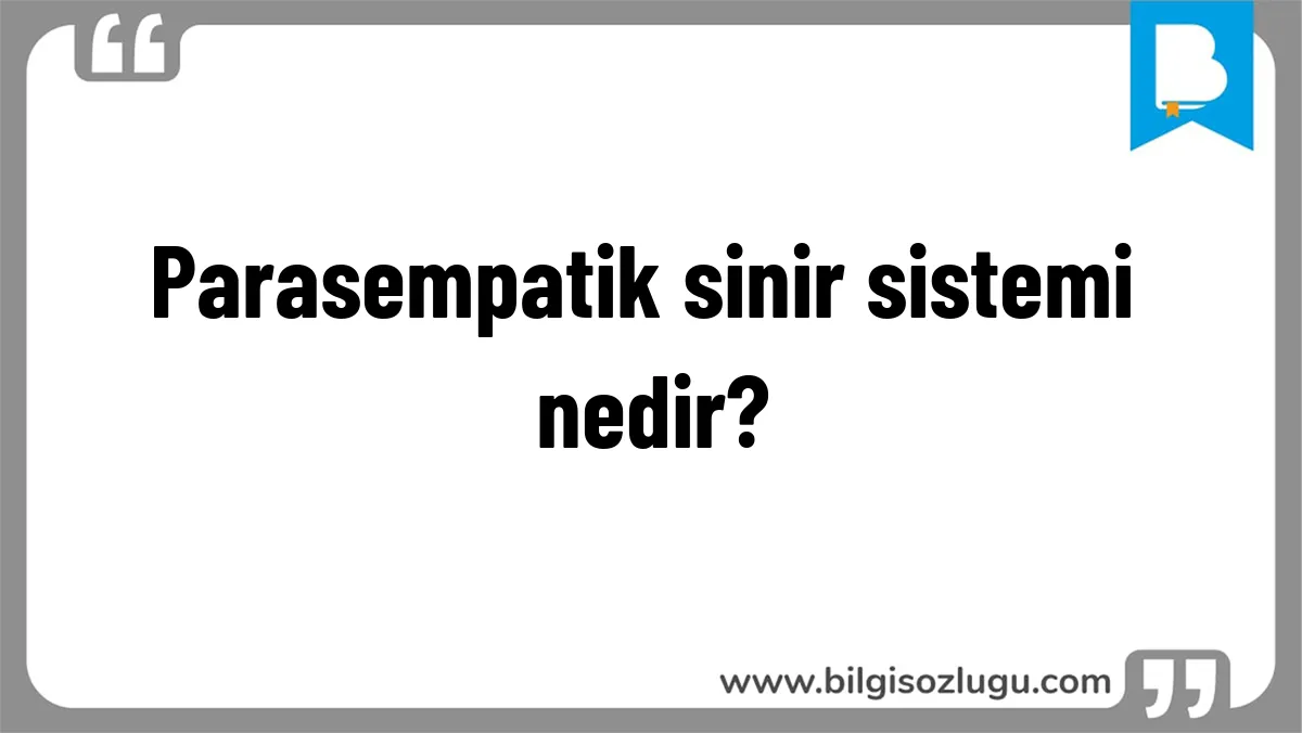 Parasempatik sinir sistemi nedir?