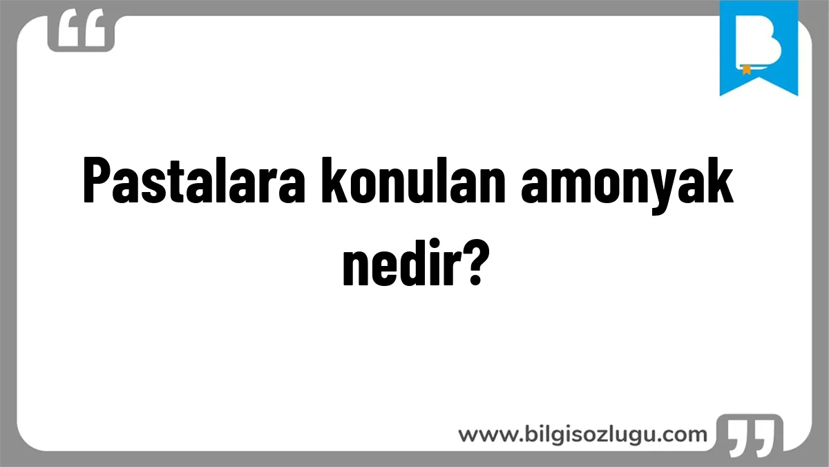 Pastalara konulan amonyak nedir?